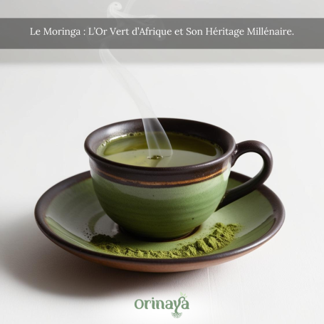 Tasse verte avec une infusion de moringa sur une soucoupe, accompagnée de poudre de moringa.