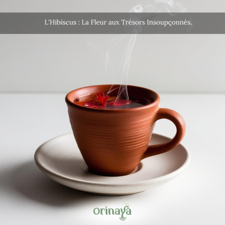 Une tasse en terre cuite avec de la vapeur, posée sur une soucoupe.